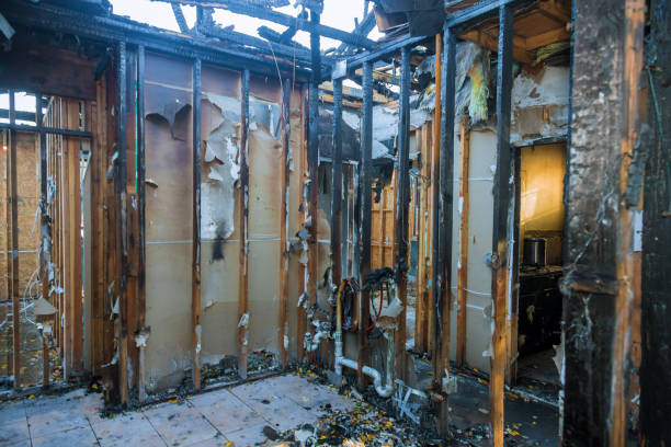 Professional Fire Damage Assessment technician working in Afton, MN