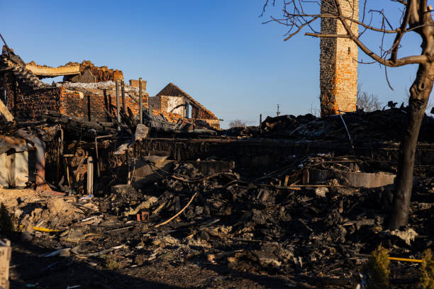 Reliable Fire Damage Assessment contractor in Afton, MN by Fire Damage Doption